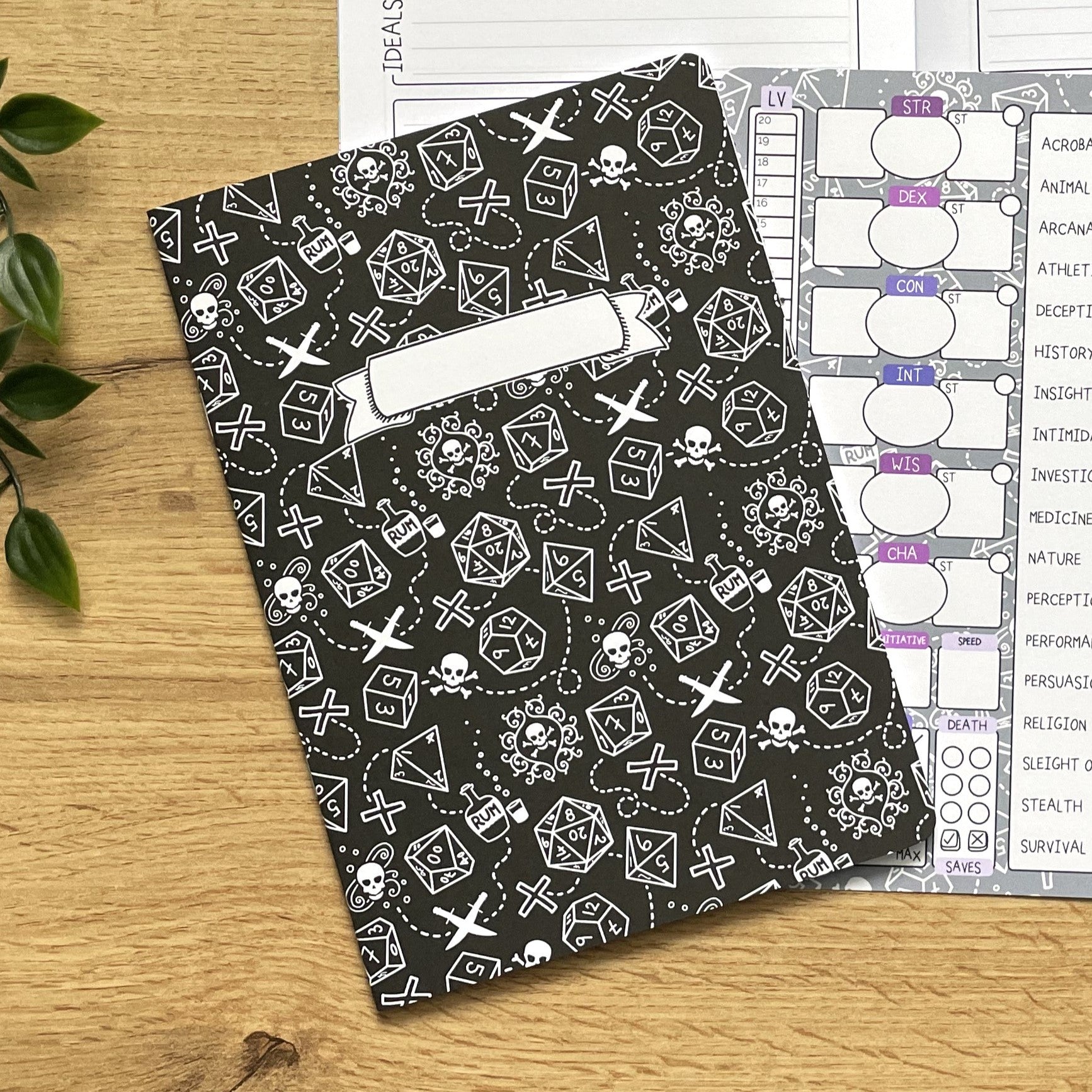 Gothic Pirate A5 Character Book