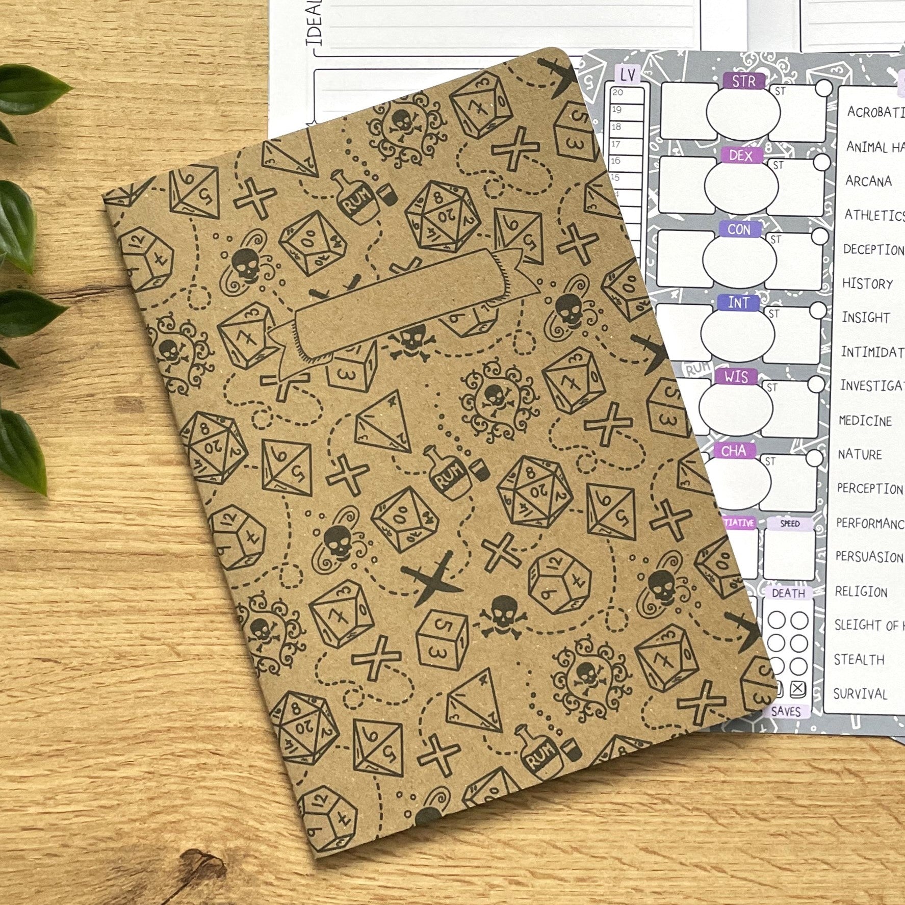 Gothic Pirate A5 Character Book