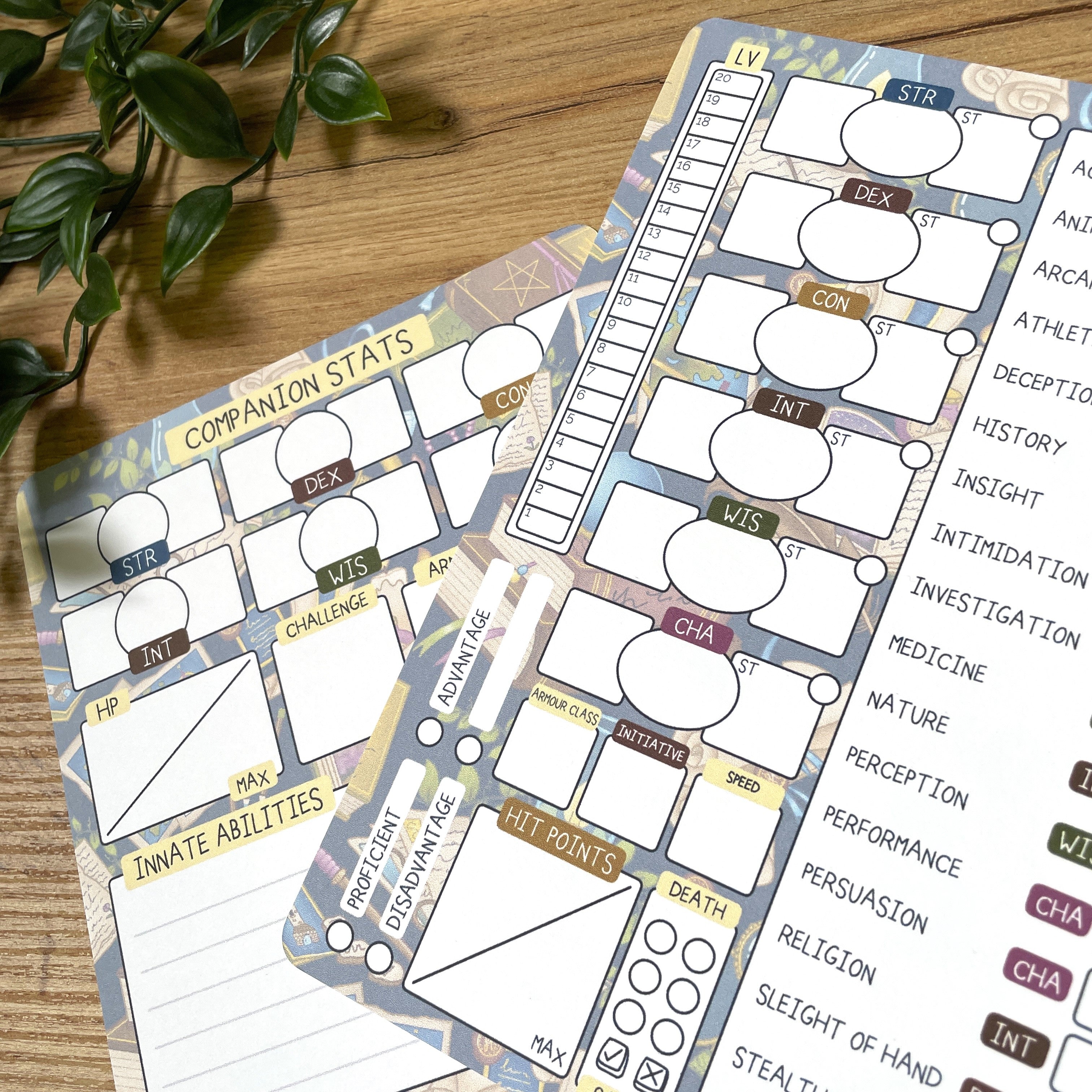 Fantasy Library A5 D&D5e Skill Card set
